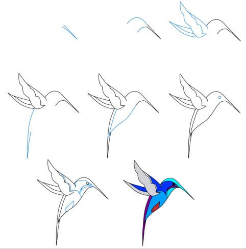 Kolibri-Idee (19) zeichnen ideen