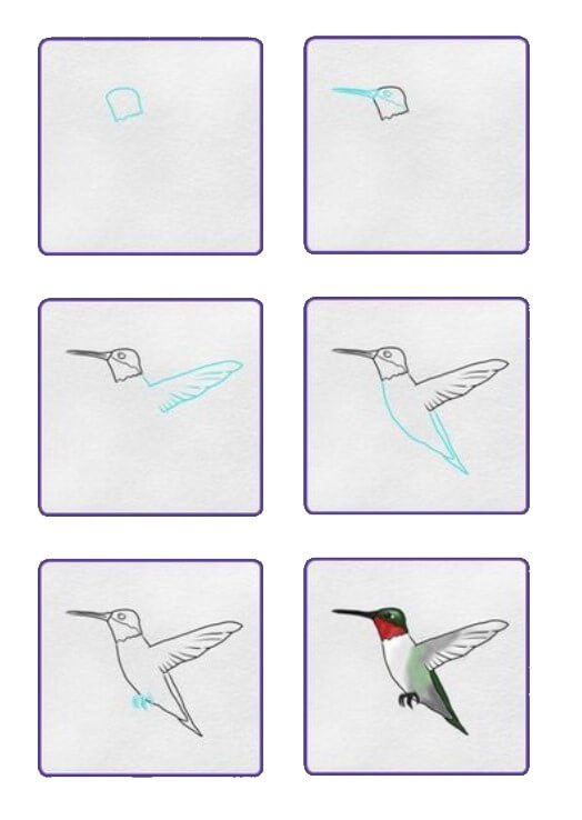 Kolibri-Idee (2) zeichnen ideen