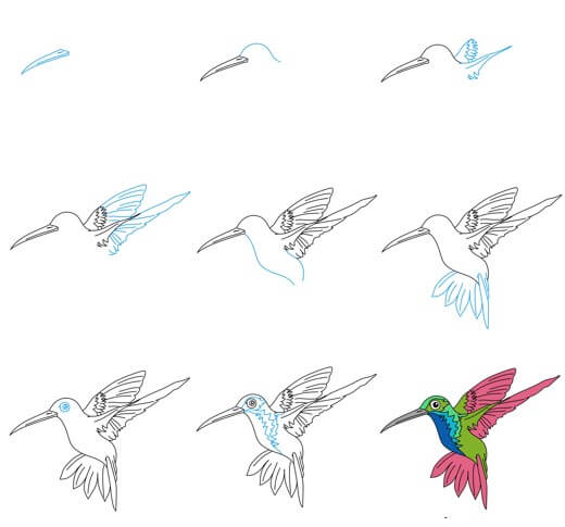 Kolibri zeichnen ideen