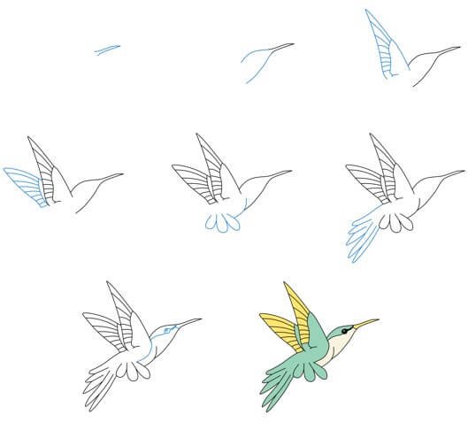 Kolibri-Idee (21) zeichnen ideen