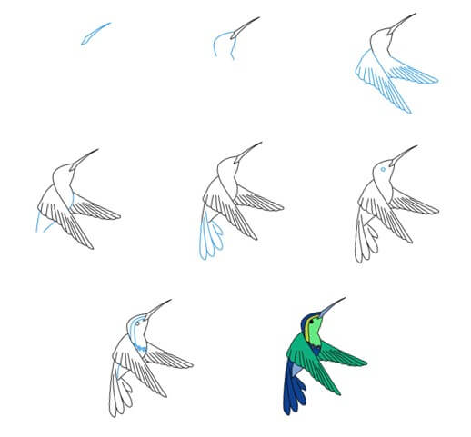Kolibri-Idee (22) zeichnen ideen