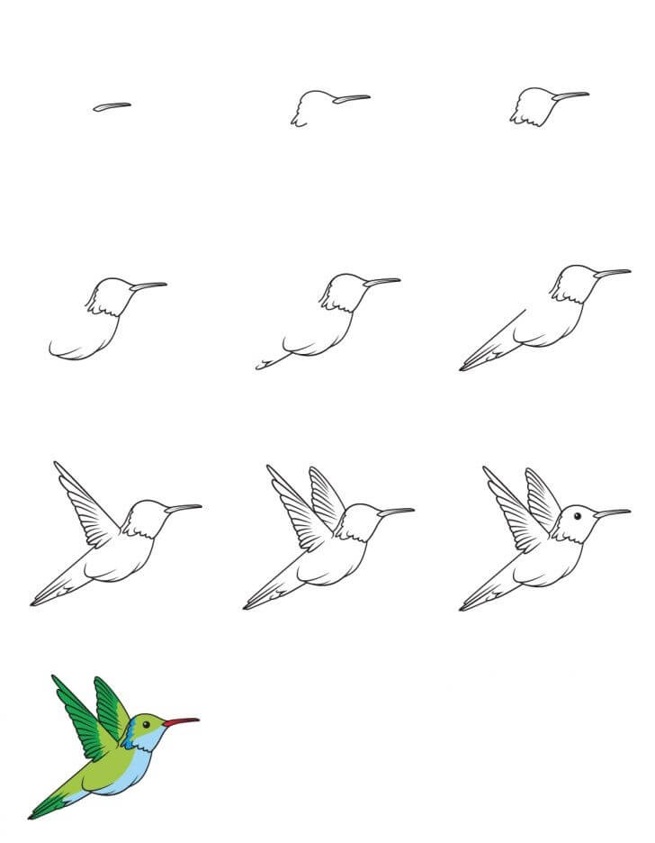 Kolibri-Idee (25) zeichnen ideen