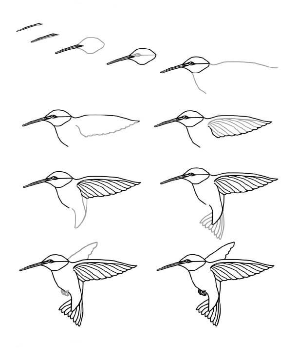 Kolibri-Idee (26) zeichnen ideen