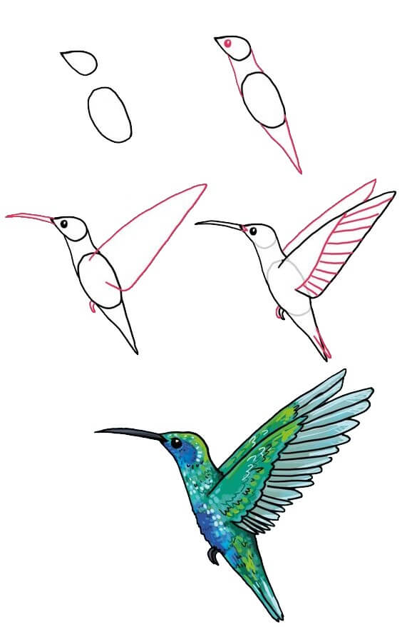 Kolibri-Idee (4) zeichnen ideen