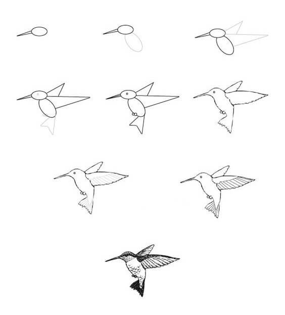 Kolibri-Idee (5) zeichnen ideen