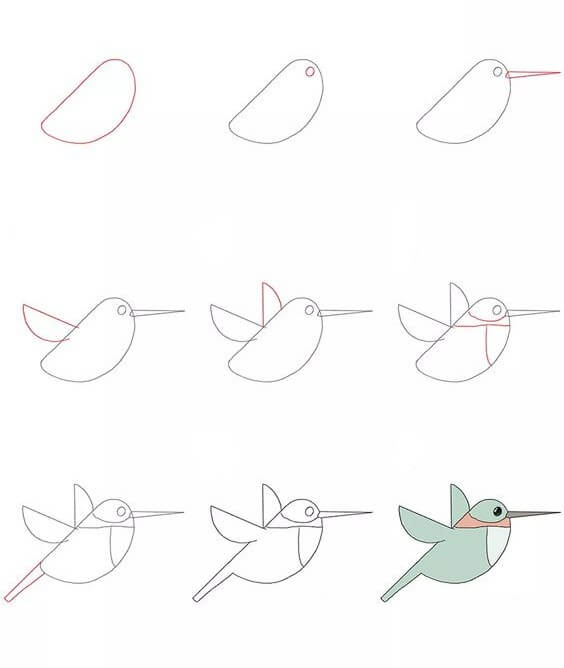 Kolibri-Idee (6) zeichnen ideen