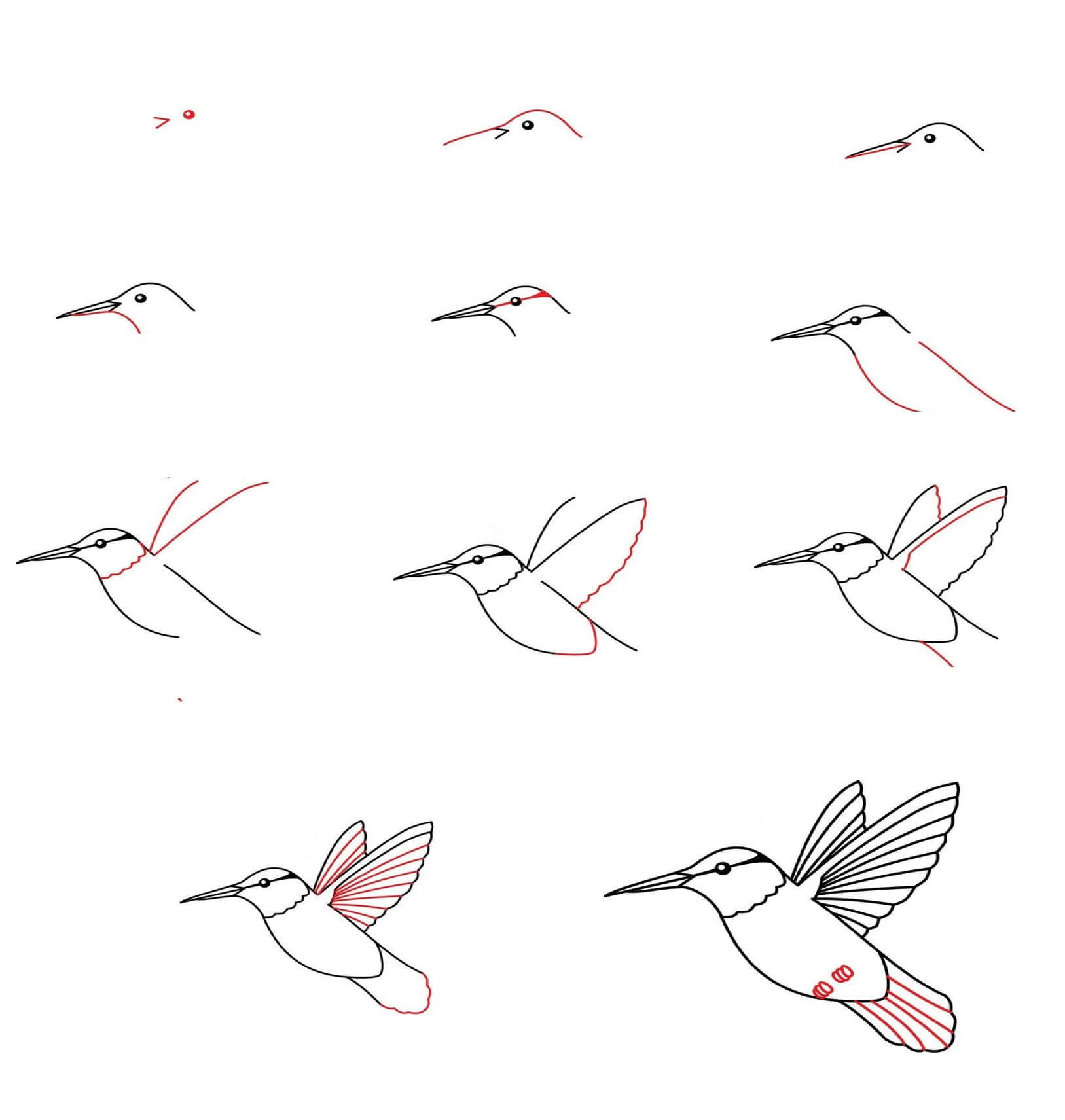 Kolibri-Idee (8) zeichnen ideen