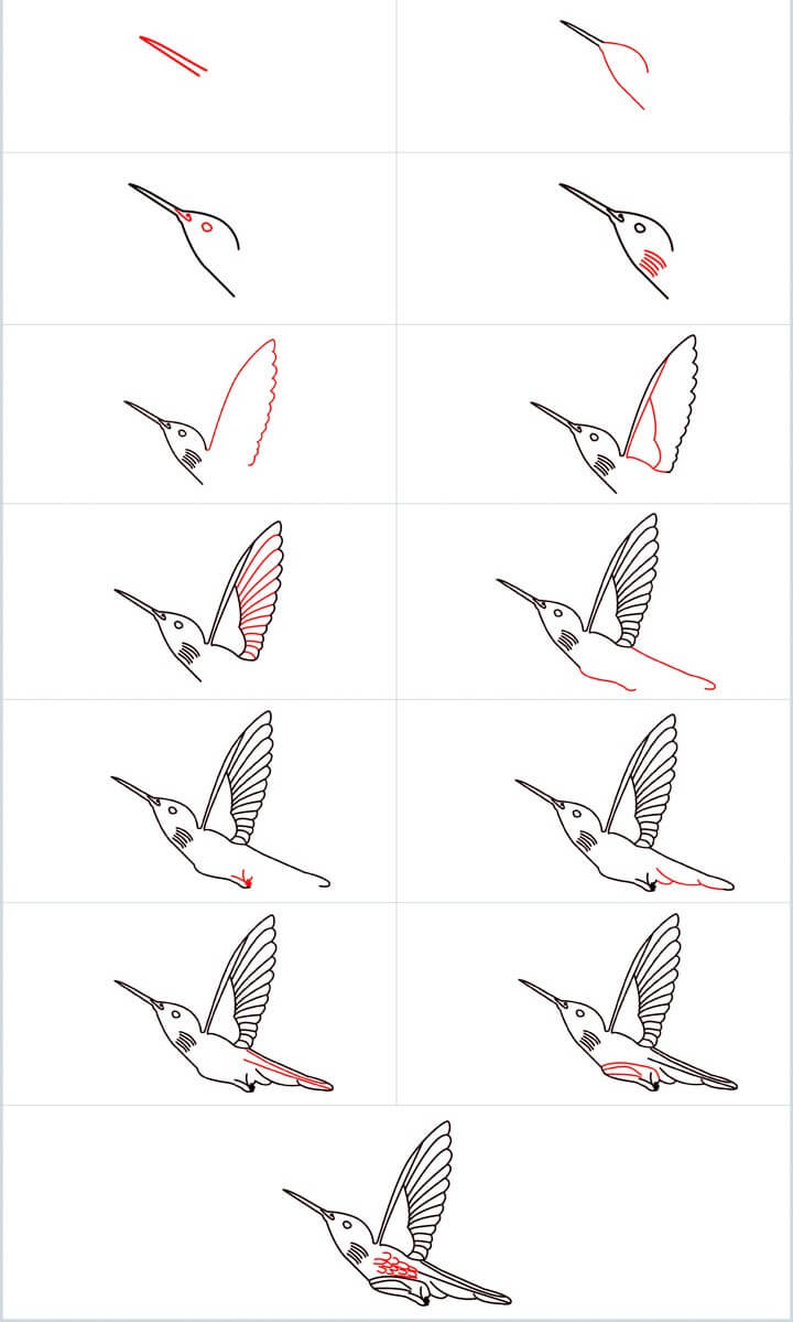Kolibri-Idee (9) zeichnen ideen