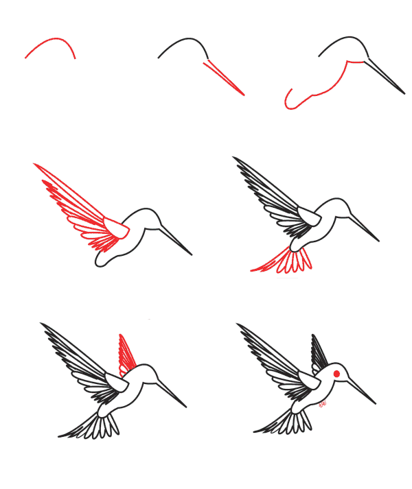 Kolibri zeichnen ideen
