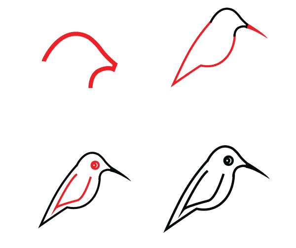 Süßer Kolibri zeichnen ideen