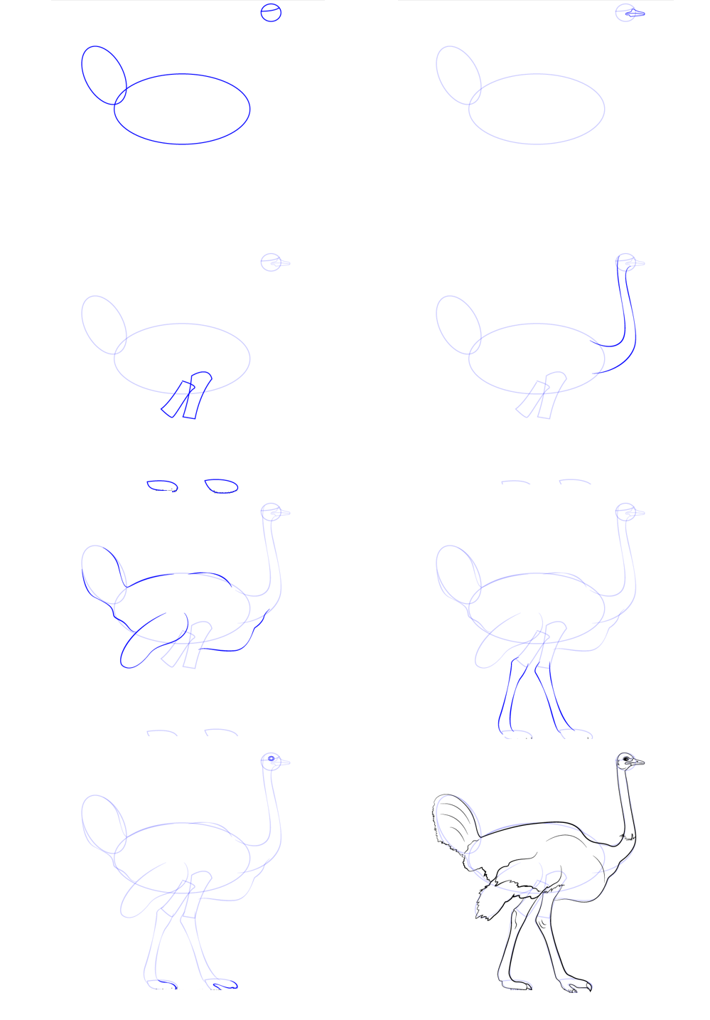 Einfache Straußenzeichnung (1) zeichnen ideen