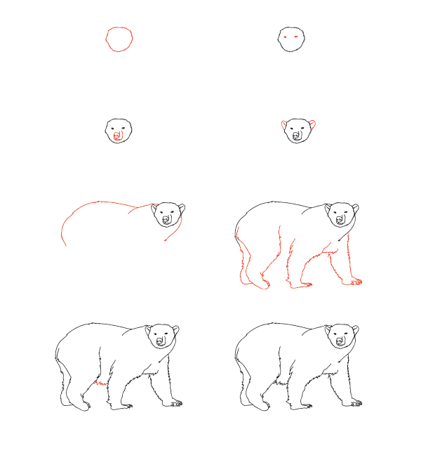 Eisbär-Tutorial zeichnen ideen