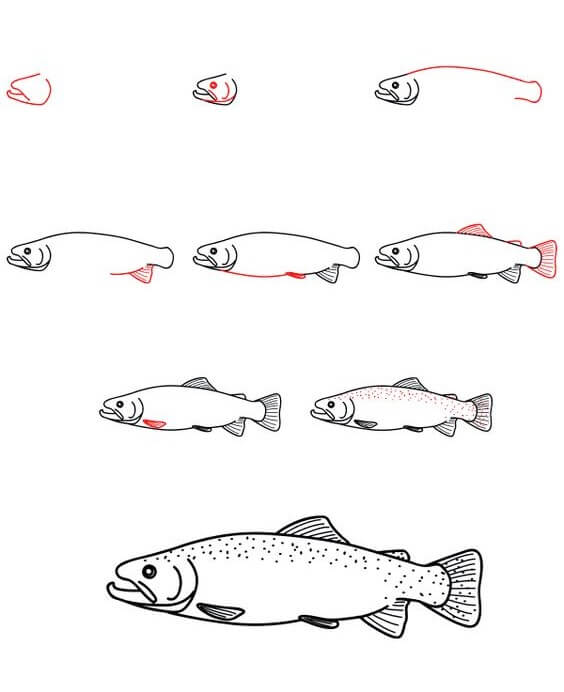 Lachs (3) zeichnen ideen