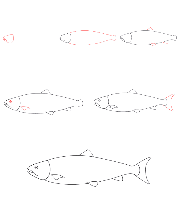 Lachs zeichnen einfach (2) zeichnen ideen