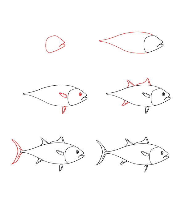 Thunfisch einfach zeichnen (3) zeichnen ideen