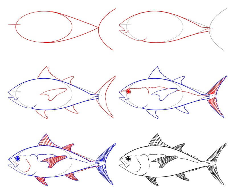 Thunfisch zeichnen ideen