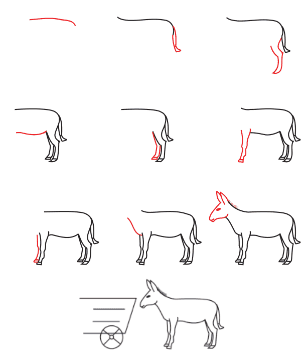 Zeichnen Lernen Esel-Idee (33)