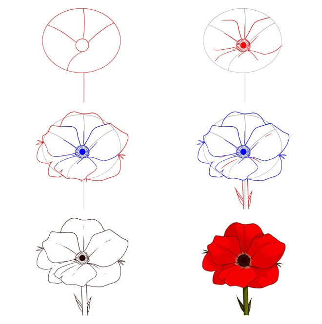 Zeichnen Lernen Idee mit einer Mohnblume (15)