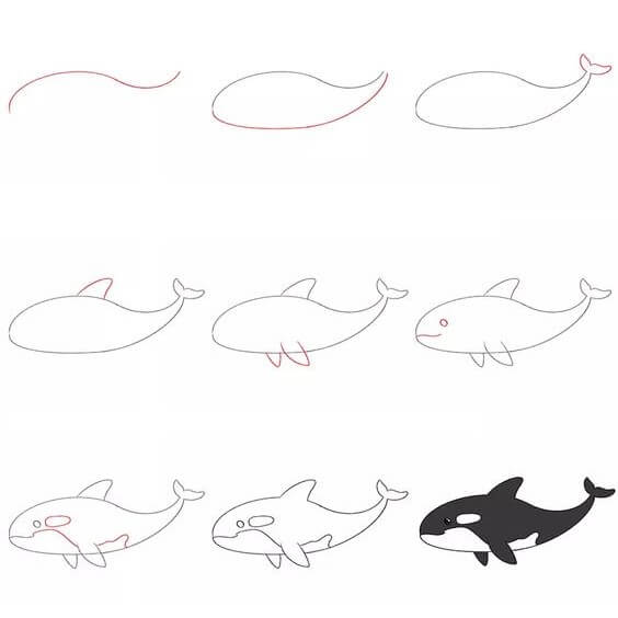 Killerwale zeichnen ideen