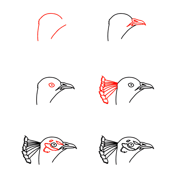 Pfauengesicht zeichnen ideen