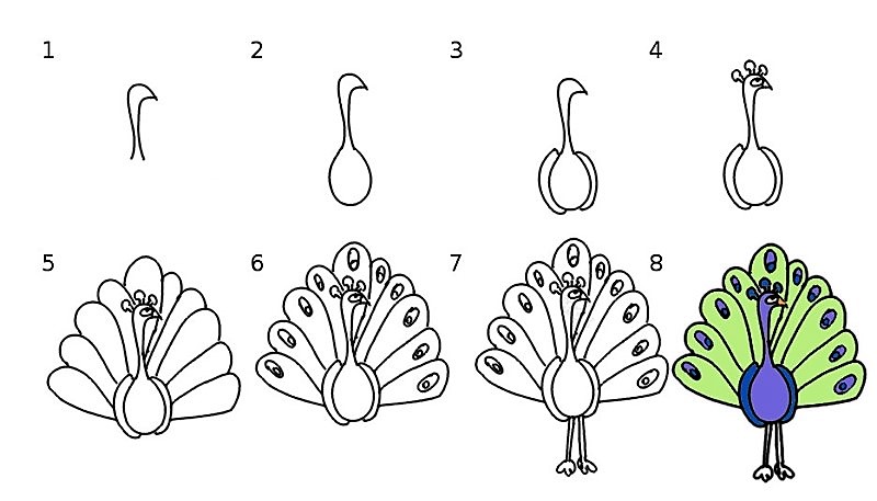 Pfauenidee (1) zeichnen ideen