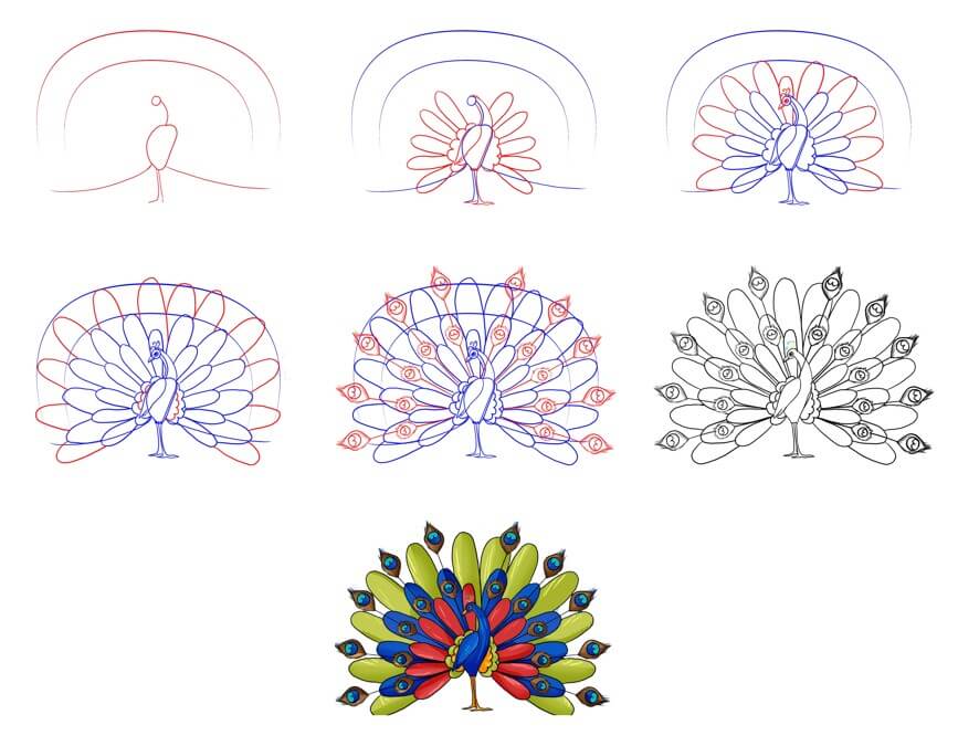 Pfauenidee (15) zeichnen ideen