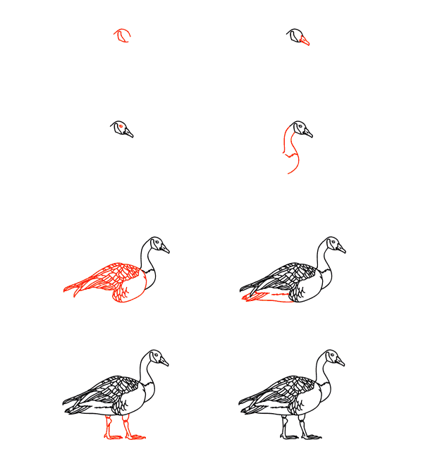 realistische Gans zeichnen ideen