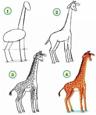 Zeichnen Lernen Giraffe-Ideel (5)