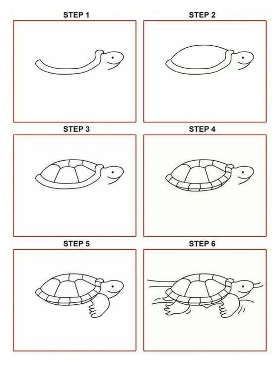 Zeichnen Lernen Idee Schildkröte (13)