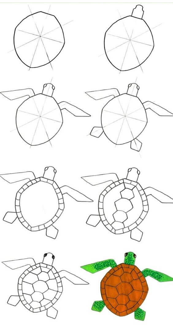 Zeichnen Lernen Idee Schildkröte (16)