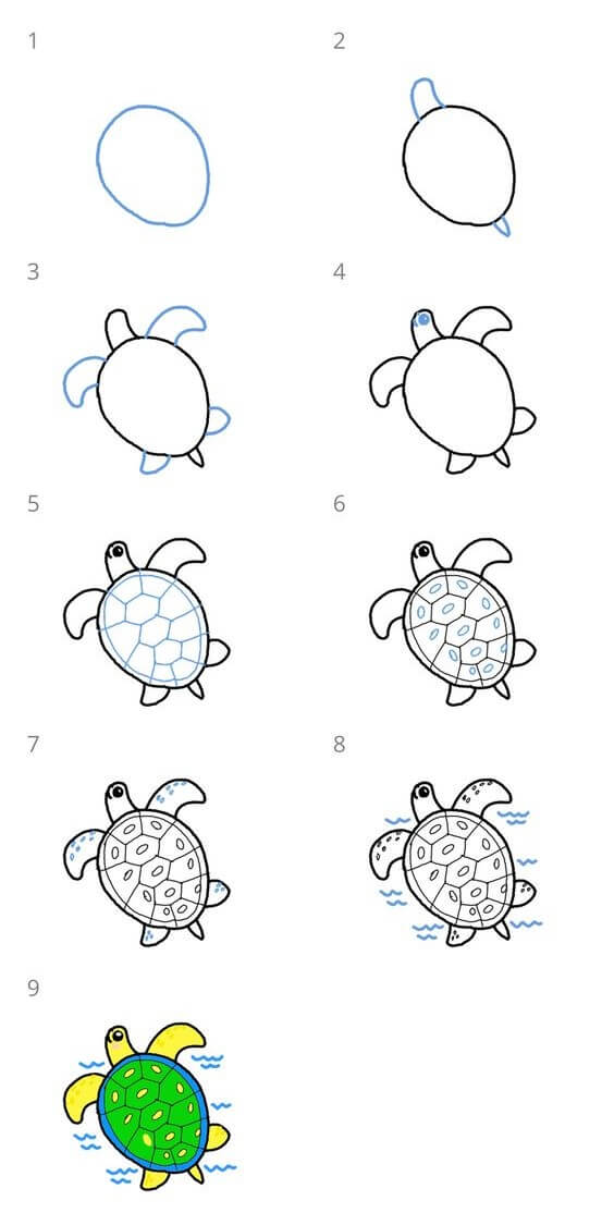 Zeichnen Lernen Idee Schildkröte (20)