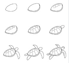 Zeichnen Lernen Idee Schildkröte (8)