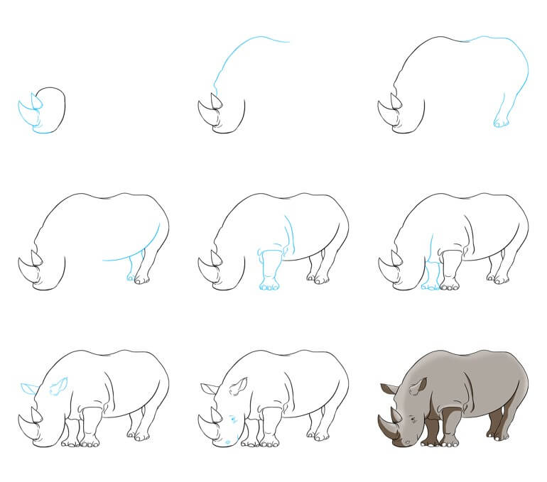 Zeichnen Lernen Nashorn-Idee (10)