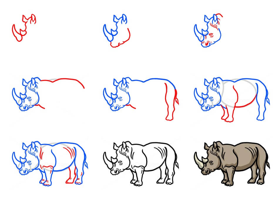 Zeichnen Lernen Nashorn-Idee (16)