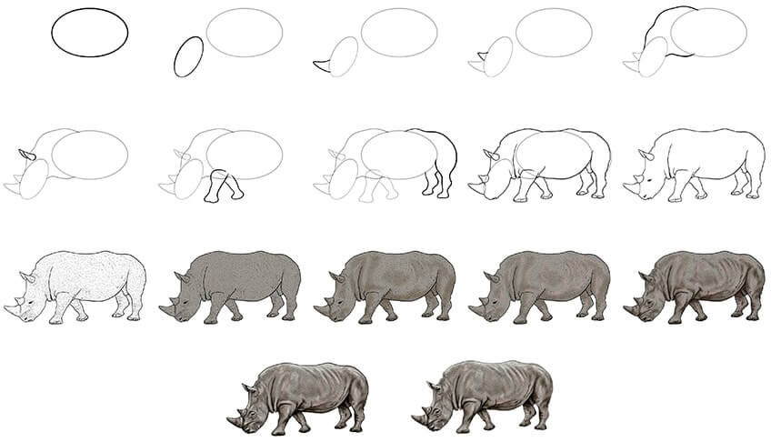 Zeichnen Lernen Nashorn-Idee (6)