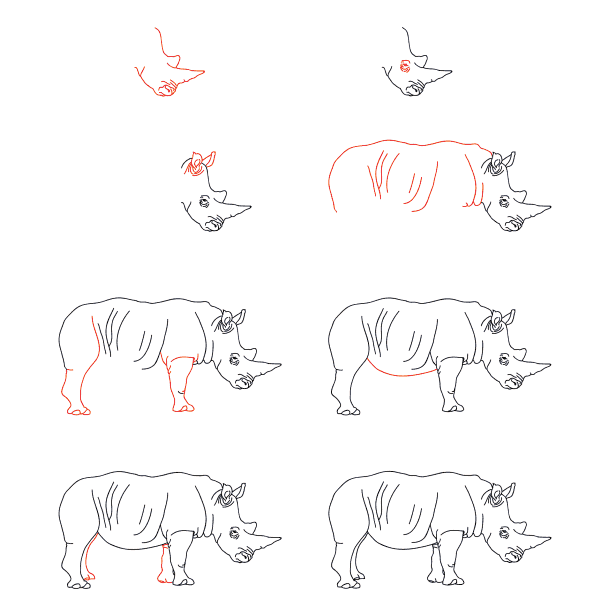 Zeichnen Lernen Realistisches Nashorn