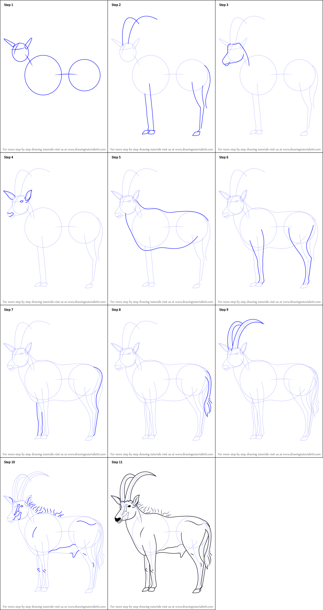 Zeichnen Lernen Einfache Antilope (3)