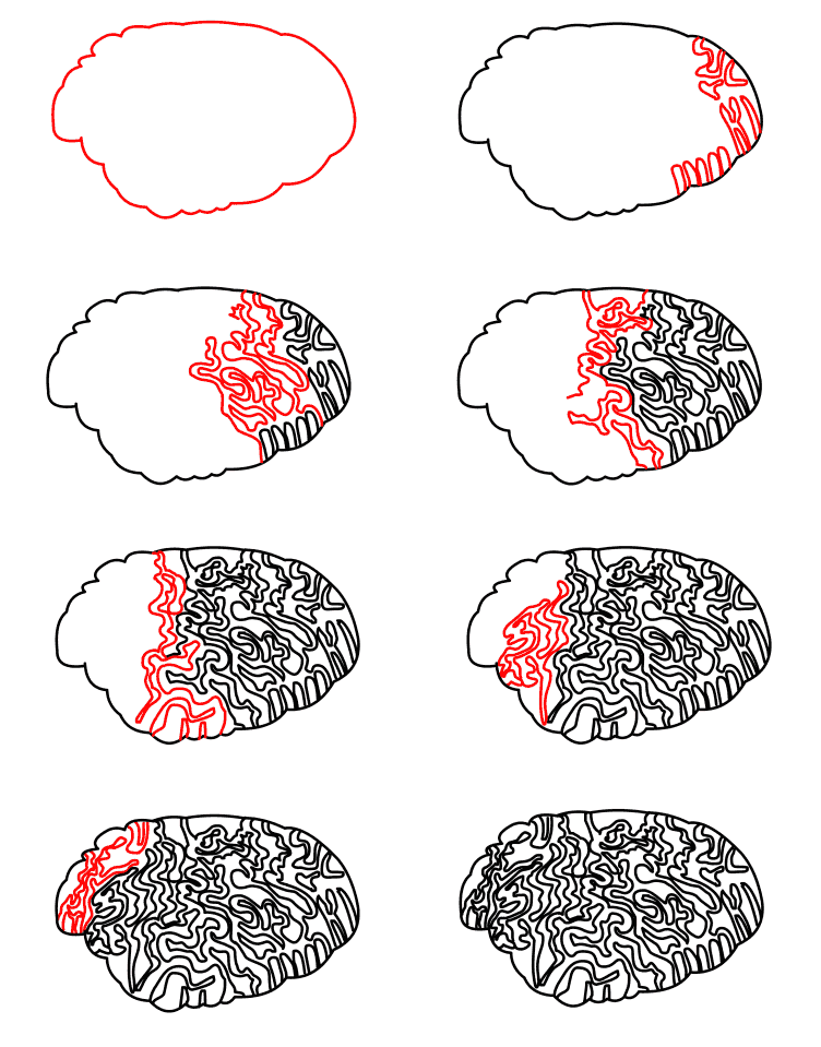 Zeichnen Lernen Gehirn ideen (20)