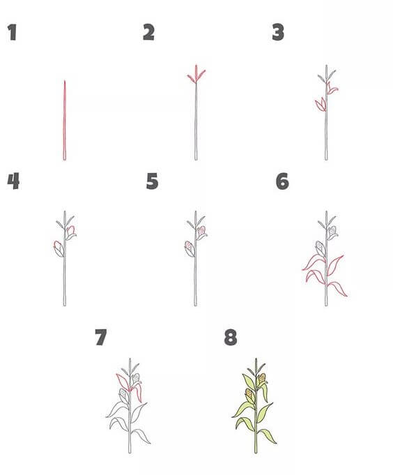 Zeichnen Lernen Ideen für Mais (4)