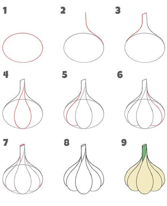 Zeichnen Lernen Knoblauch idee (2)