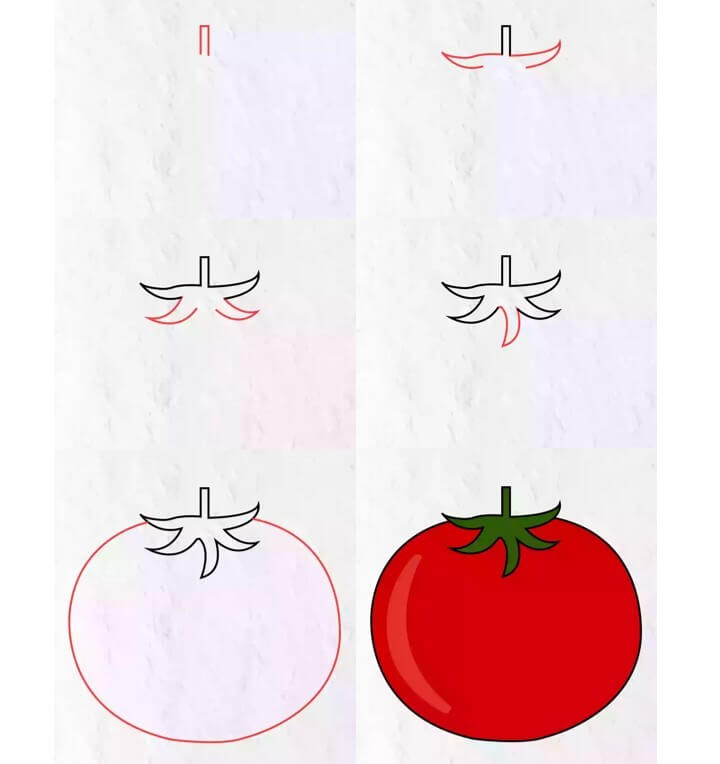 Zeichnen Lernen Tomaten idee (10)