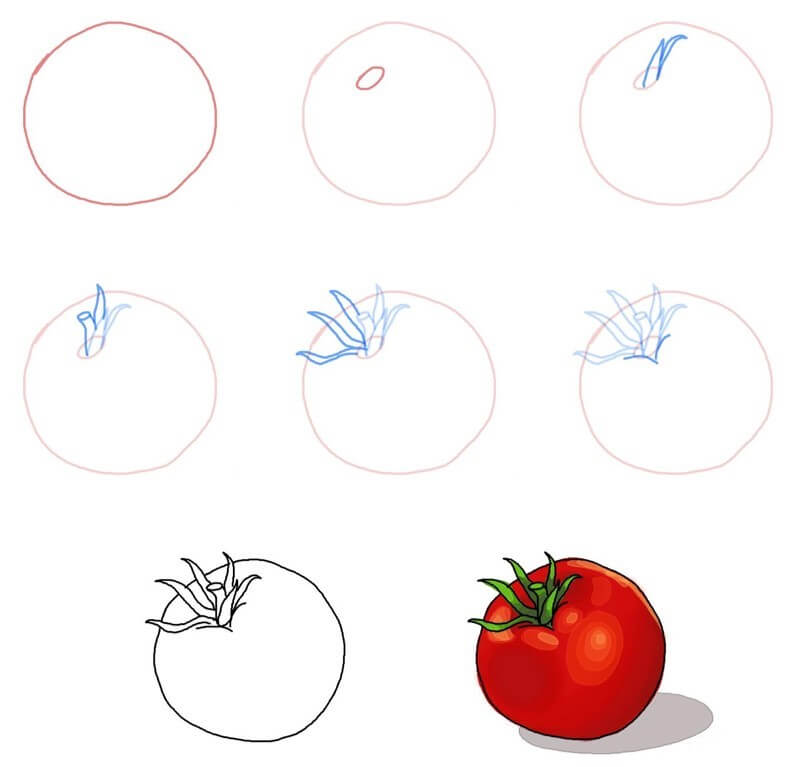 Zeichnen Lernen Tomaten idee (13)