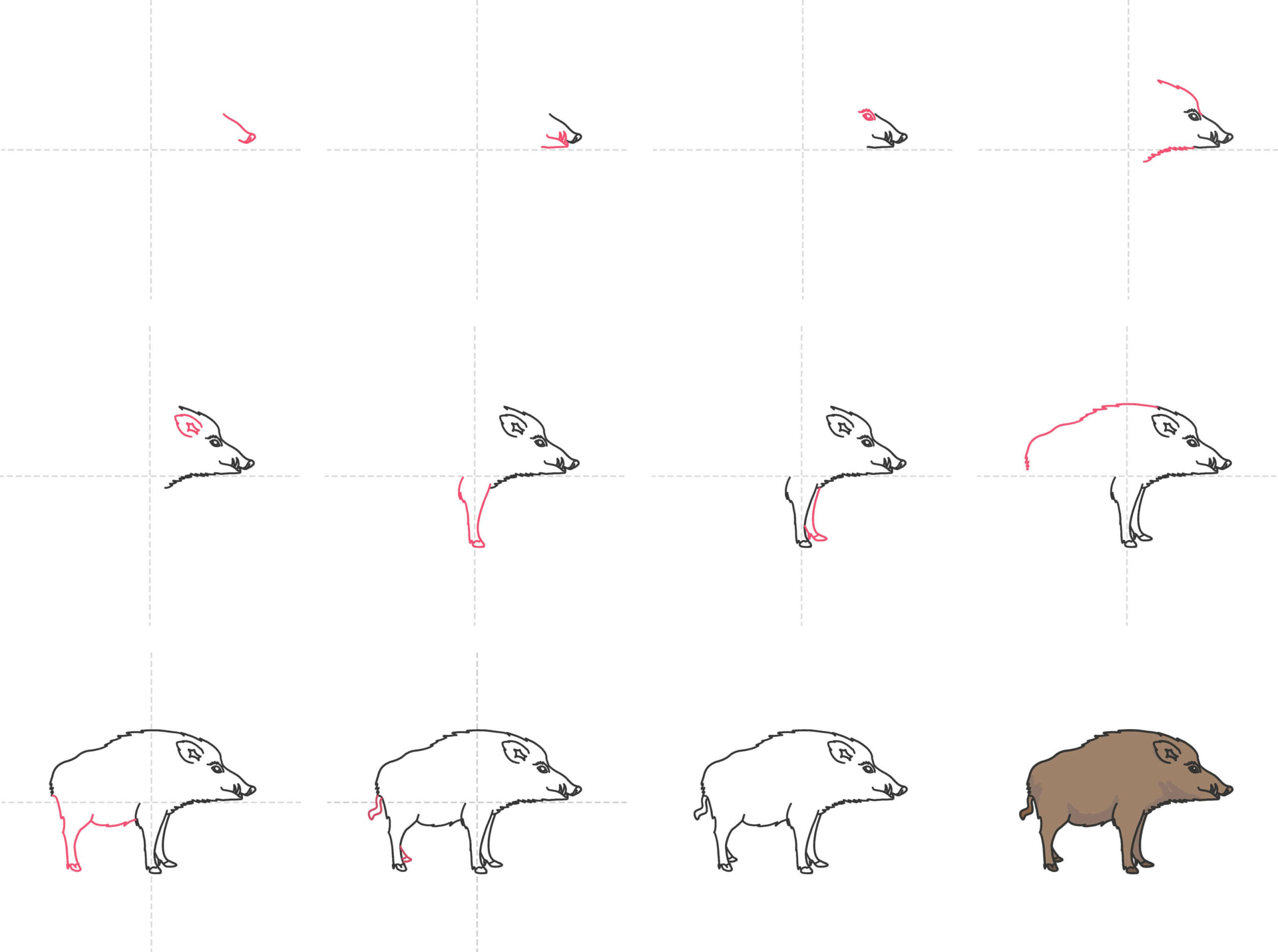 Zeichnen Lernen Ideen für Wildschweine (3)