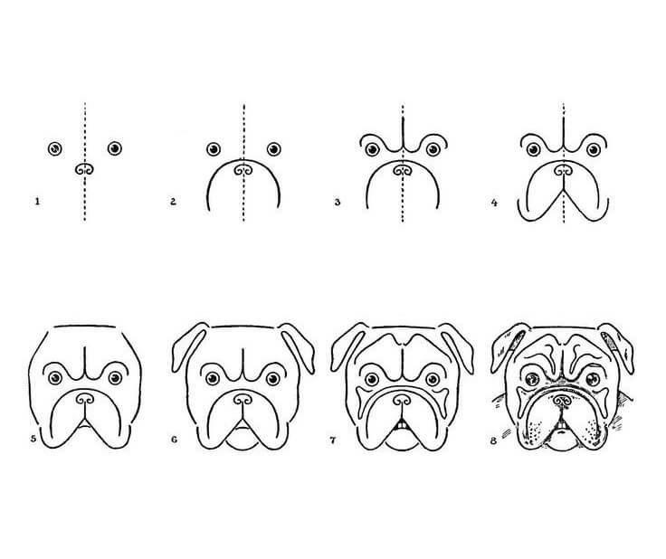 Mops-Hundegesicht (1) zeichnen ideen