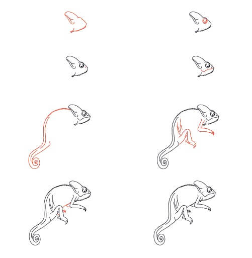 Realistisches Chamäleon zeichnen ideen