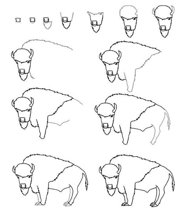 Bison-Idee (14) zeichnen ideen