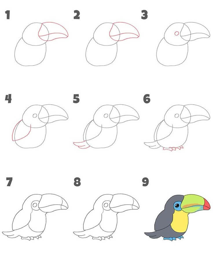 Tukan Idee (7) zeichnen ideen