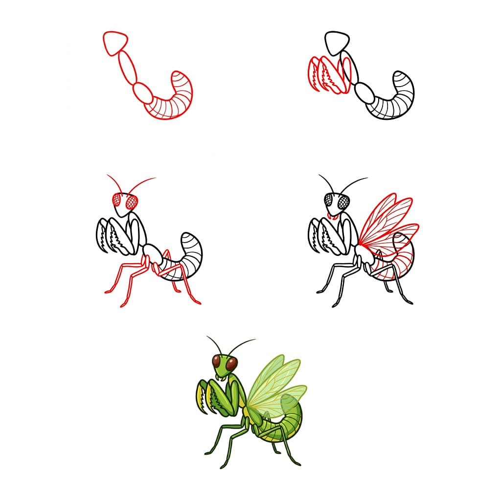 Bereite Gottesanbeterin zeichnen ideen