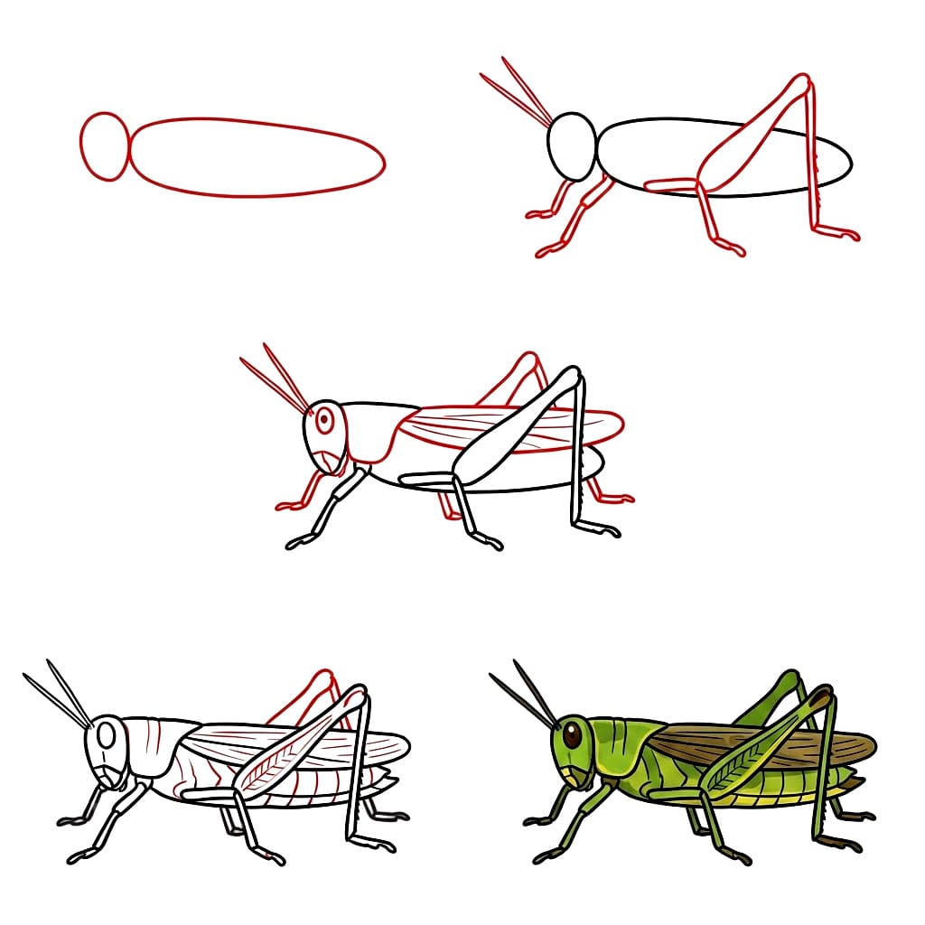 Heuschrecke zum Ausdrucken zeichnen ideen