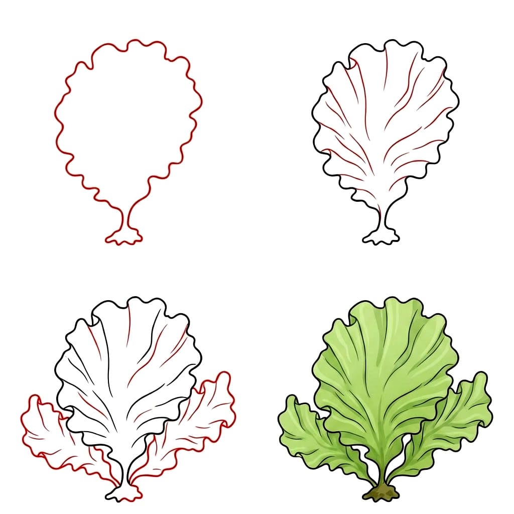 Algen zeichnen ideen